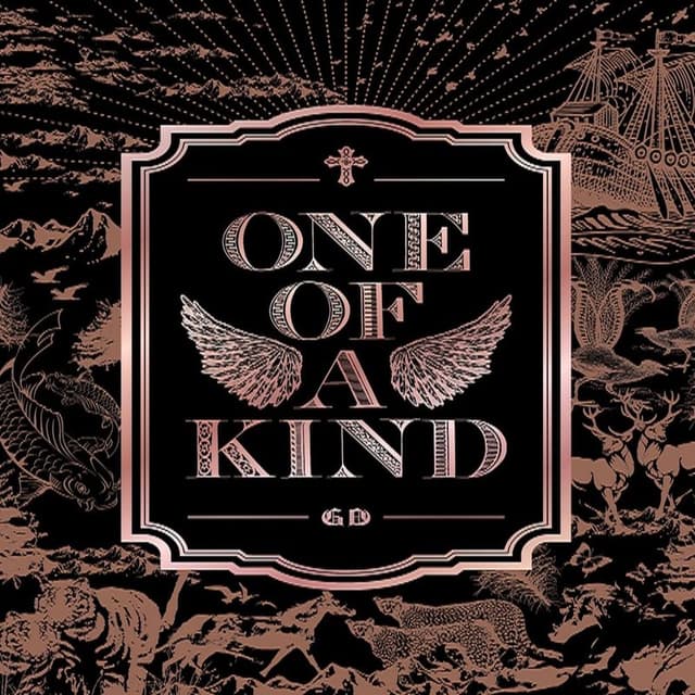 One of a Kind cover