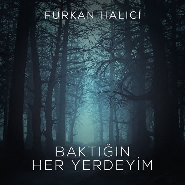 Baktığın Her Yerdeyim cover