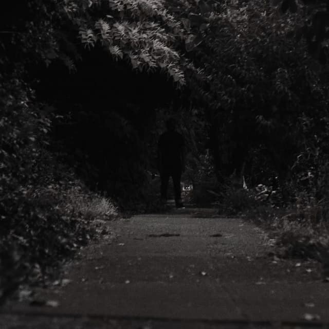 Complications (feat. Aesop Rock) cover