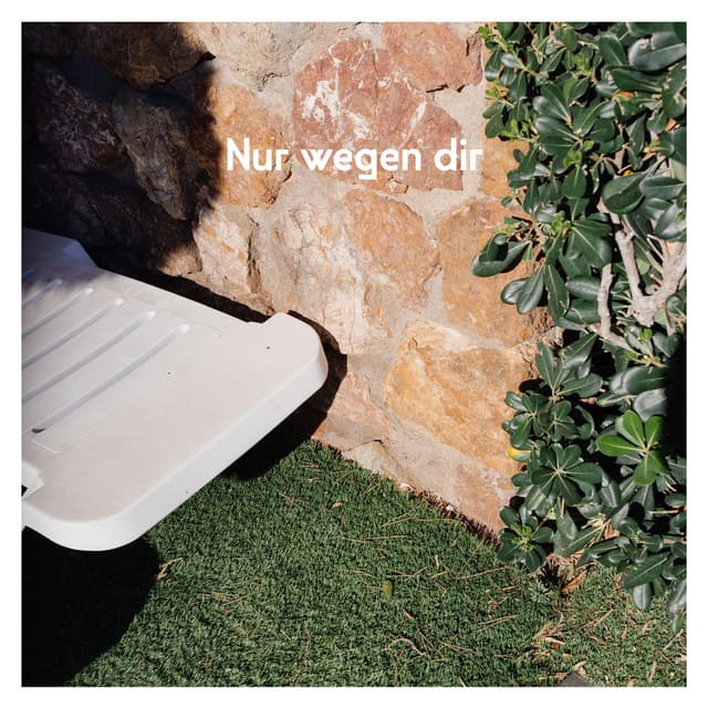 Nur wegen dir cover