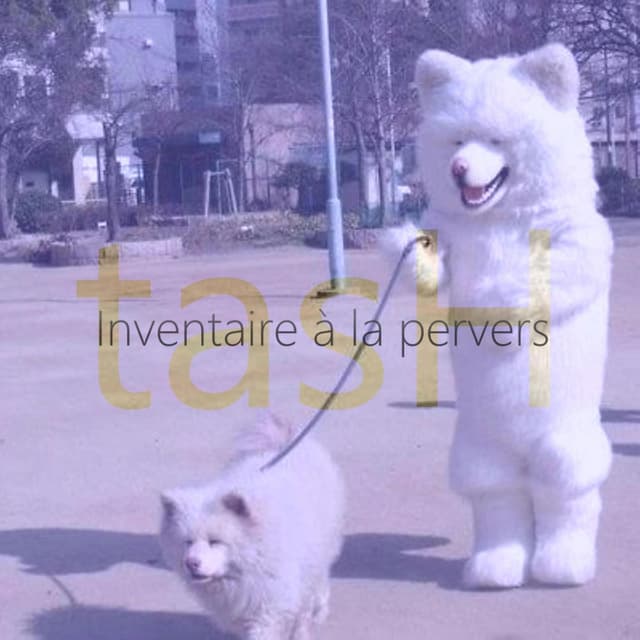Inventaire A La Pervers (Single Mix) cover
