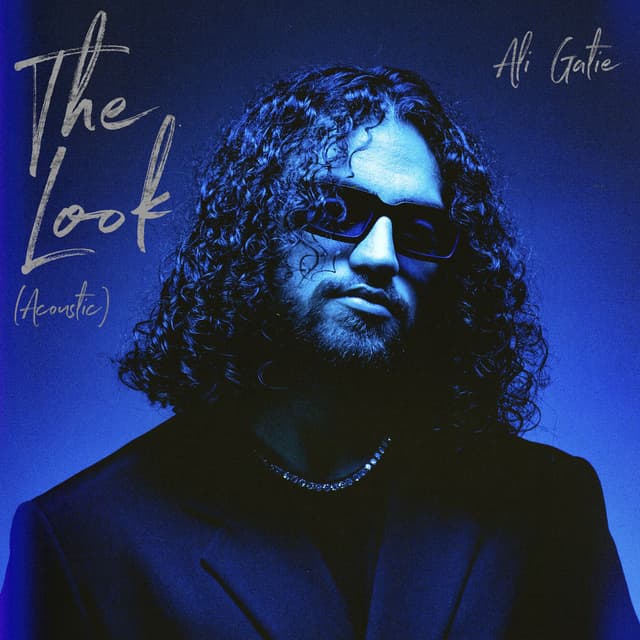 The Look (Acoustic) cover