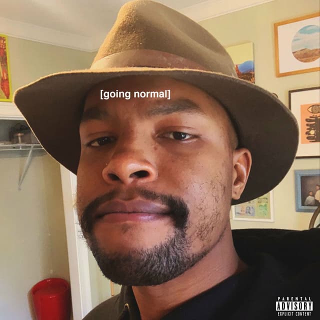 Going Normal cover