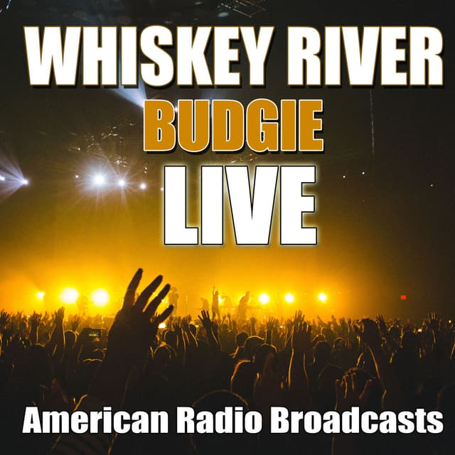 Whiskey River (Live) cover
