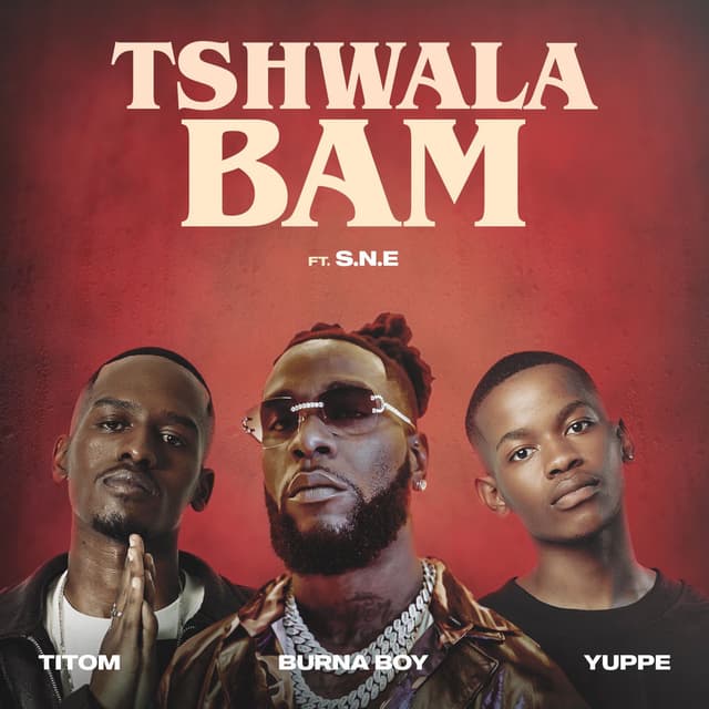 Tshwala Bam (feat. S.N.E) cover