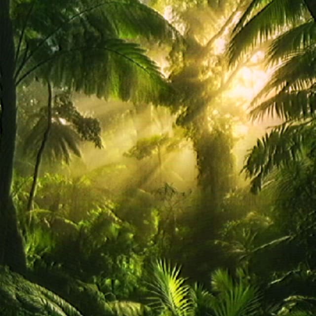 Jungle cover