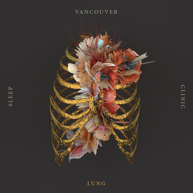 Lung cover