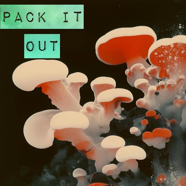 Pack It Out cover