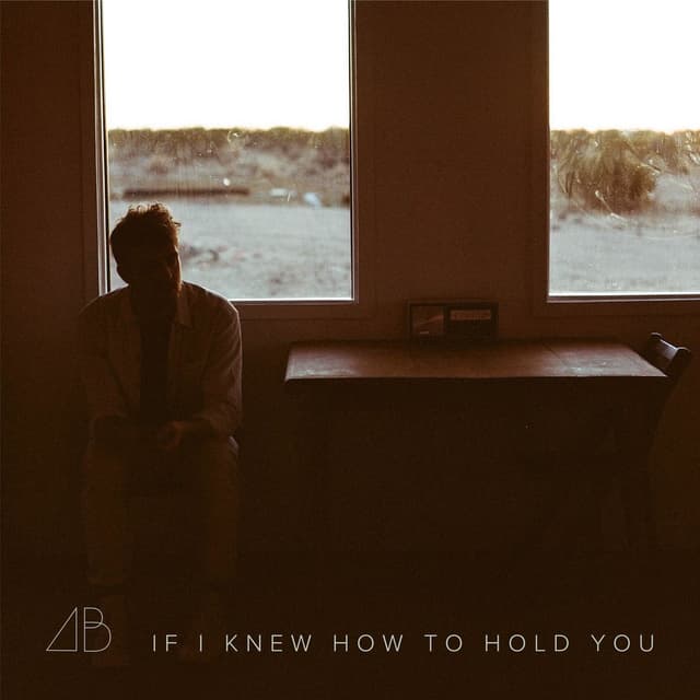 If I Knew How to Hold You cover