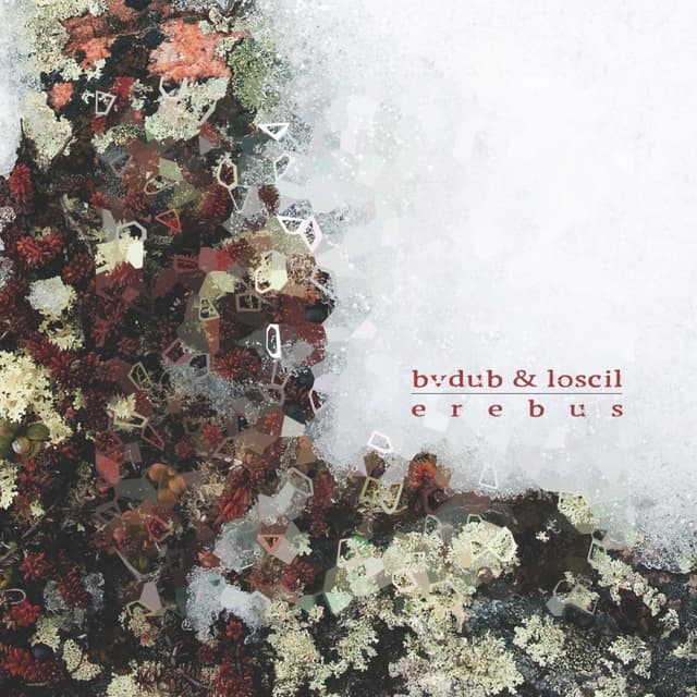 Erebus cover