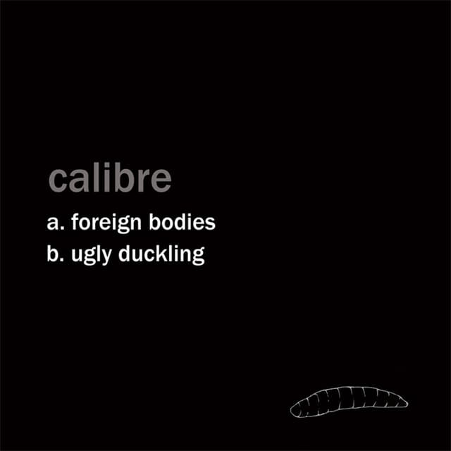 Foreign Bodies / Ugly Duckling cover