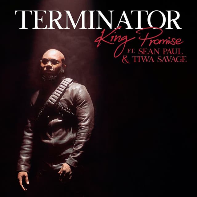 Terminator (Remix) cover