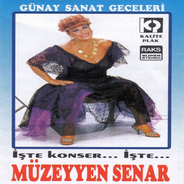 Günay Sanat Geceleri cover