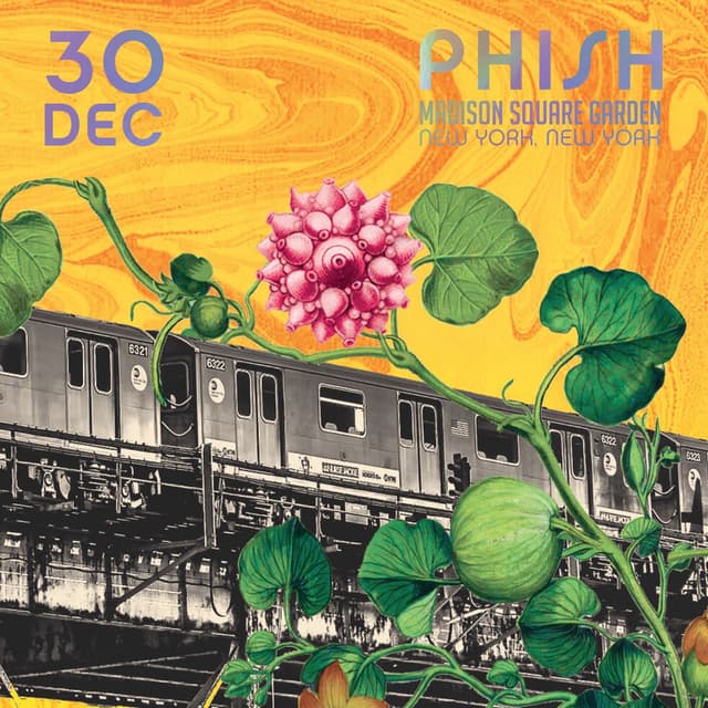 Phish: 12/30/2015 Madison Square Garden, New York, NY cover