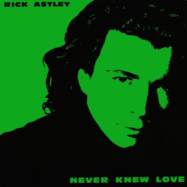 Never Knew Love (Remastered 2024) cover