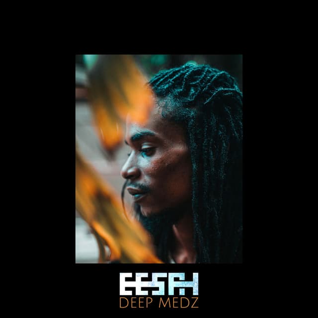 Deep Medz cover