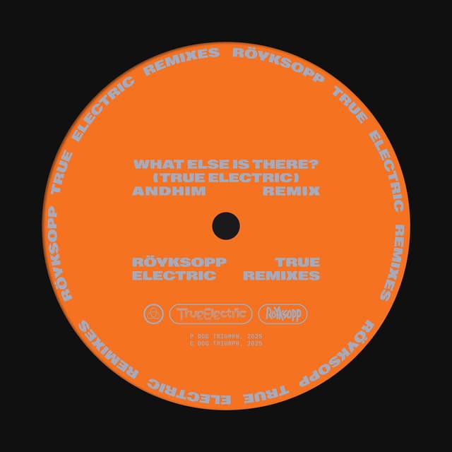 What Else Is There? (andhim Extended Remix) cover