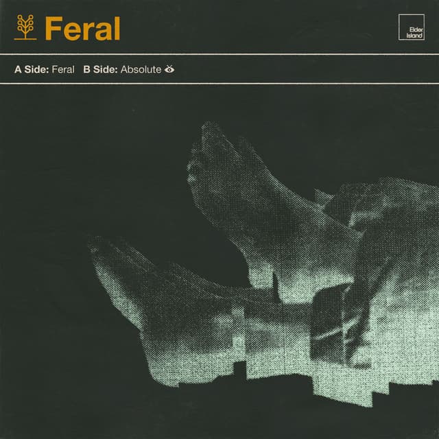 Feral cover