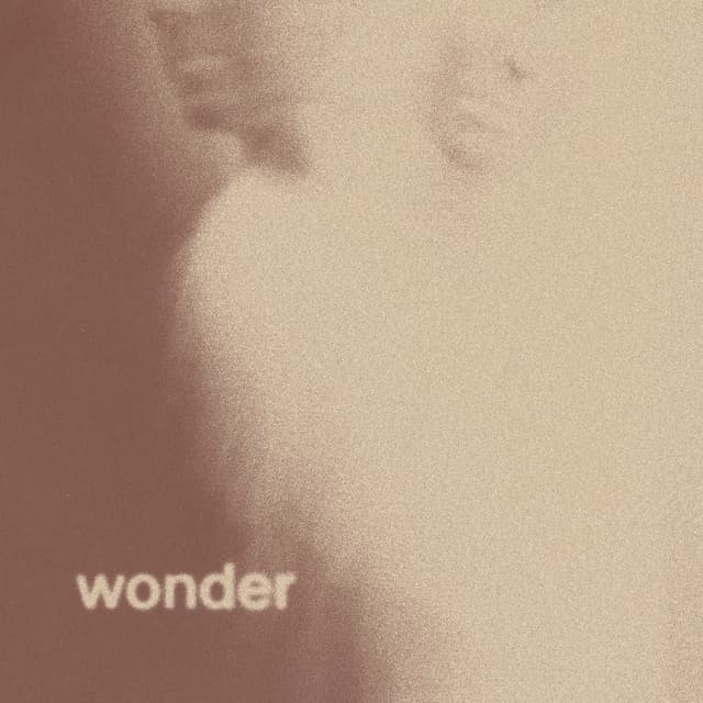 Wonder album cover