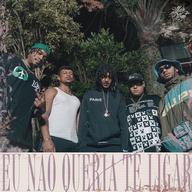 Eu Não Queria Te Ligar cover