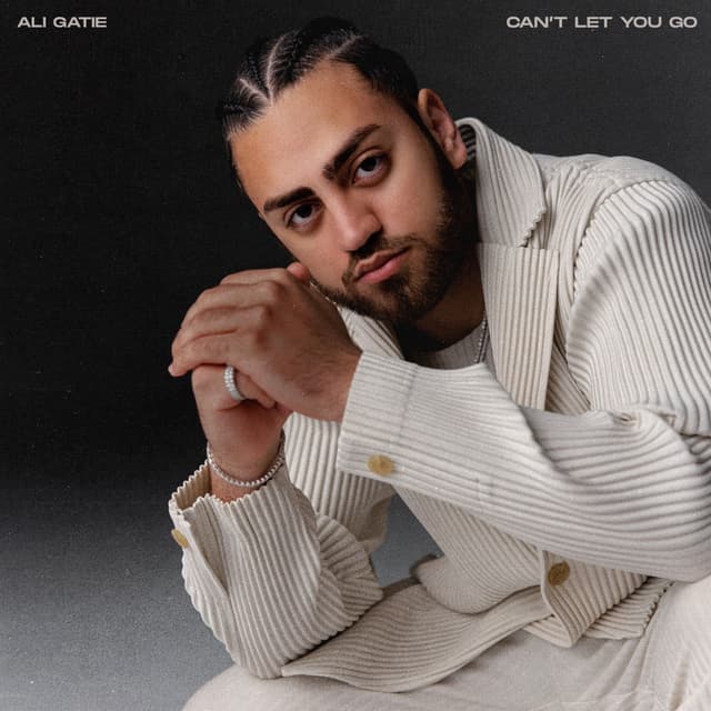 Can't Let You Go cover
