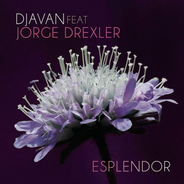Esplendor cover