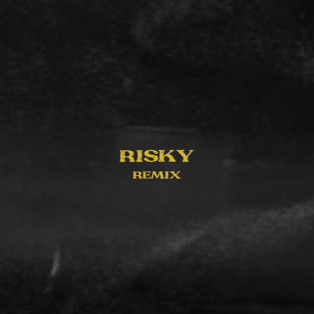 Risky (Remix) cover