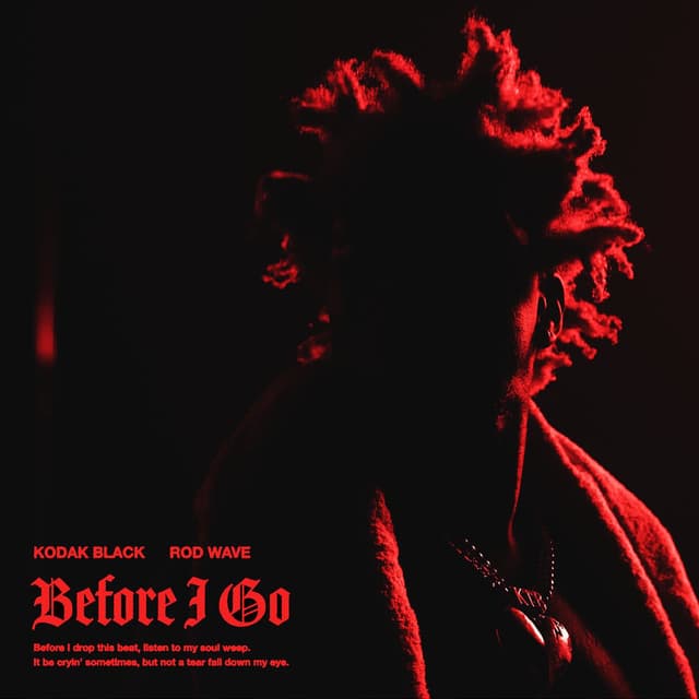 Before I Go (feat. Rod Wave) cover