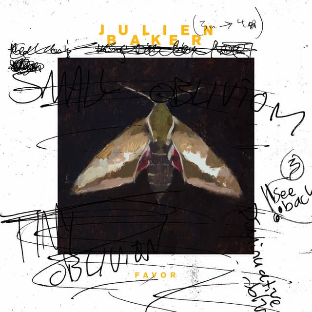 Favor album cover