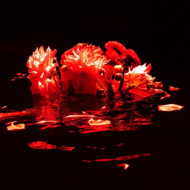 heartLESS cover