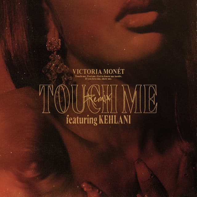 Touch Me (Remix) cover