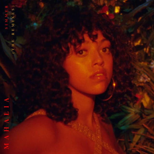 Simmer (The Remixes) cover