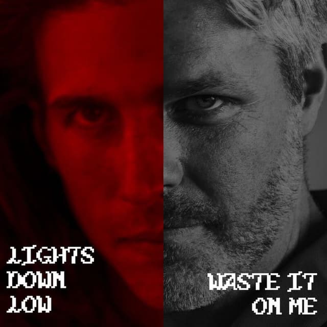 LIGHTS DOWN LOW / WASTE IT ON ME cover