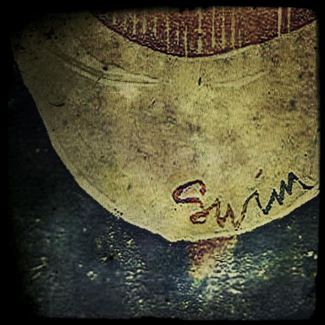 Swim cover
