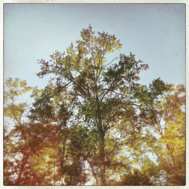 Waiting to Die cover