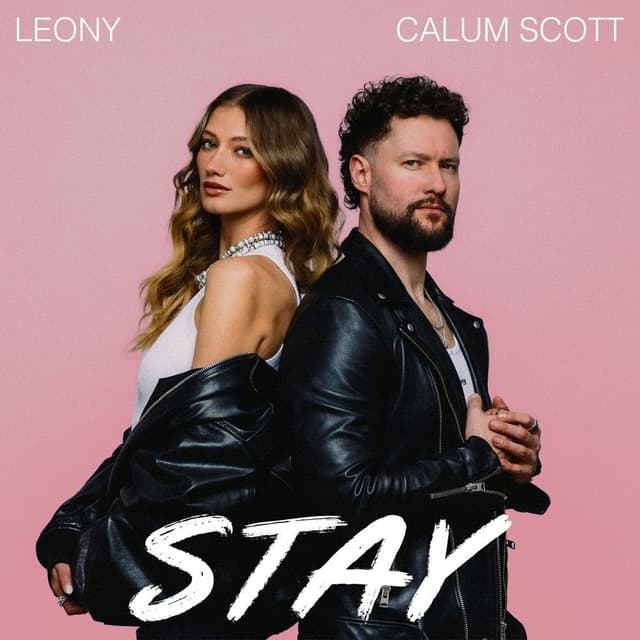 Stay cover