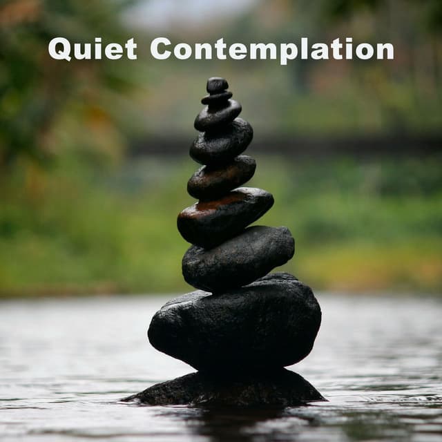 Quiet Contemplation cover