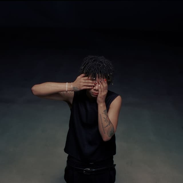 BLIND cover
