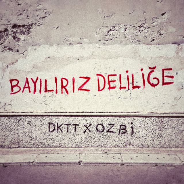 Bayılırız Deliliğe cover