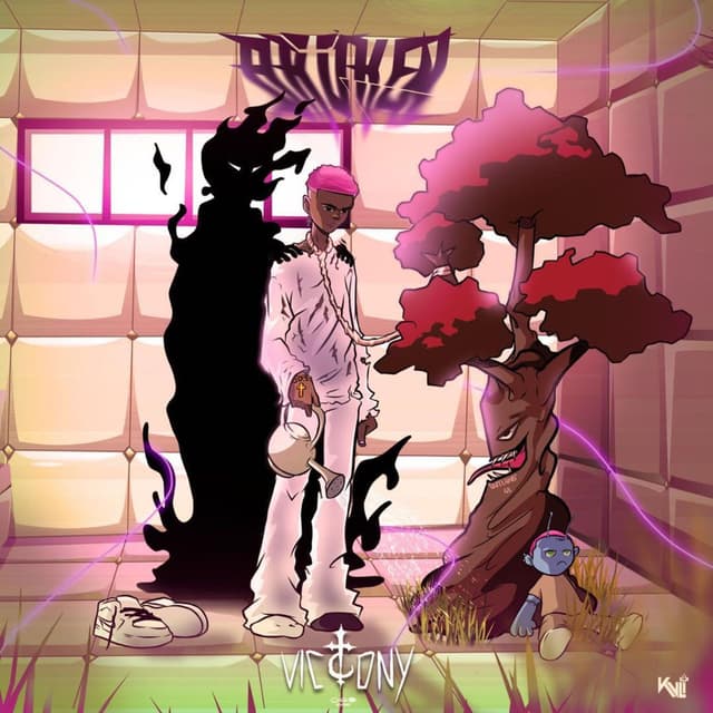 Broken cover