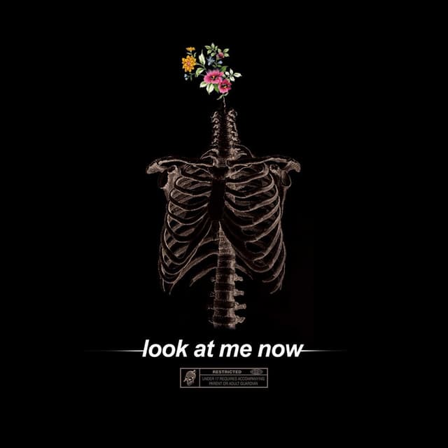 Look at Me Now cover
