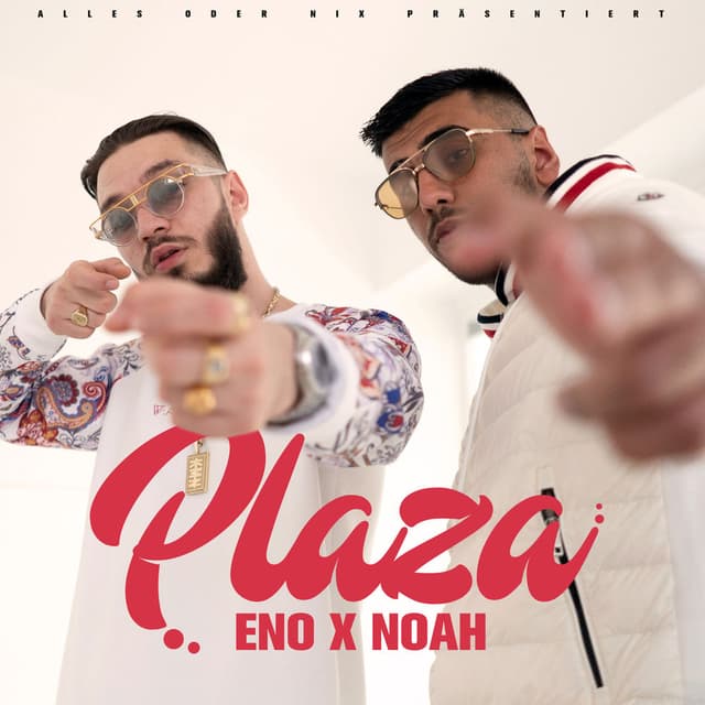 Plaza cover