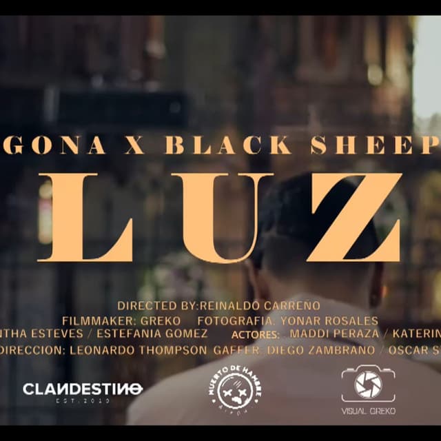Luz cover