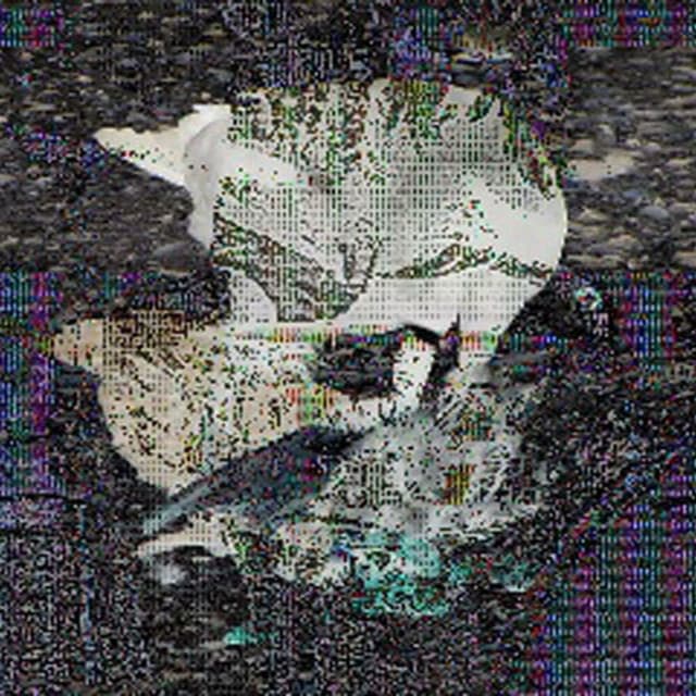 Full Moon (Death Classic) cover