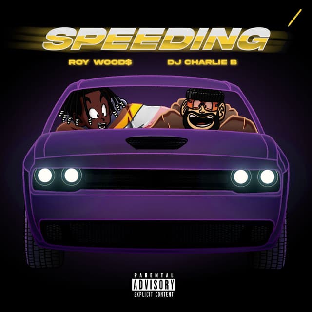 Speeding cover