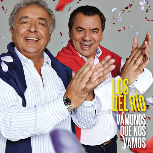 Vamonos que nos vamos cover