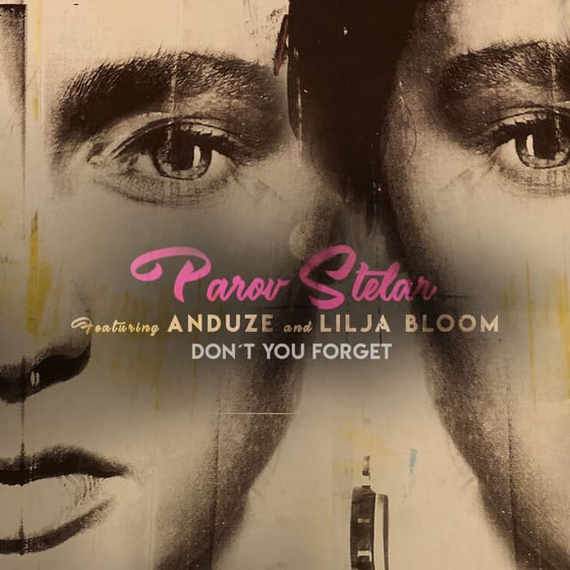 Don't You Forget cover
