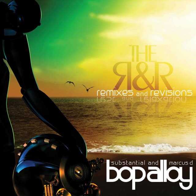 The R & R (Remixes & Revisions) cover