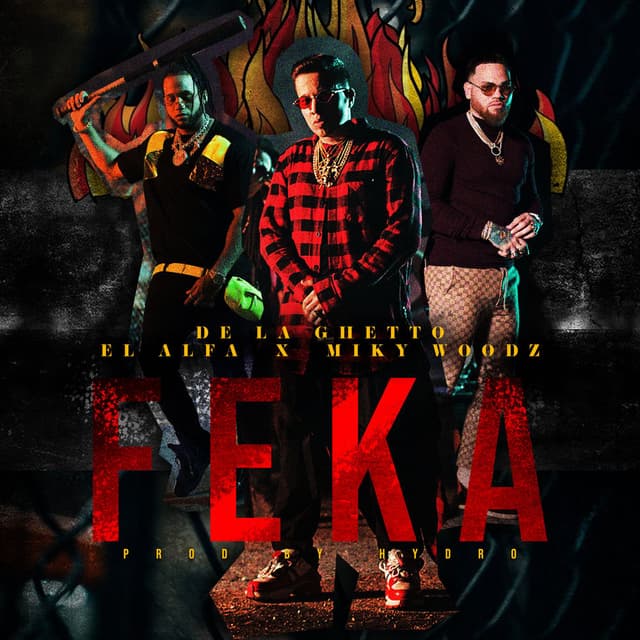 FEKA cover