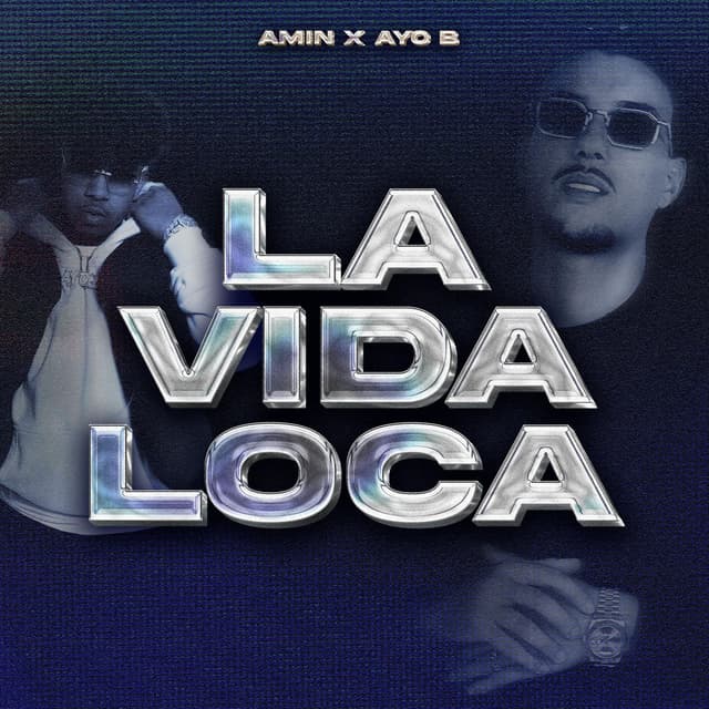 LA VIDA LOCA (feat. AYO B) cover